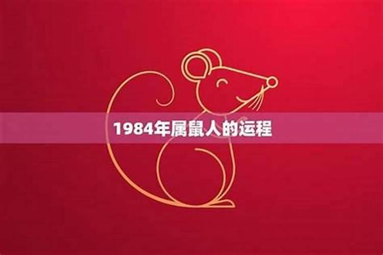 1984鼠2026年运势运程