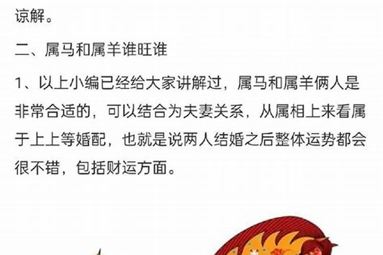 属马人的一生感情运势