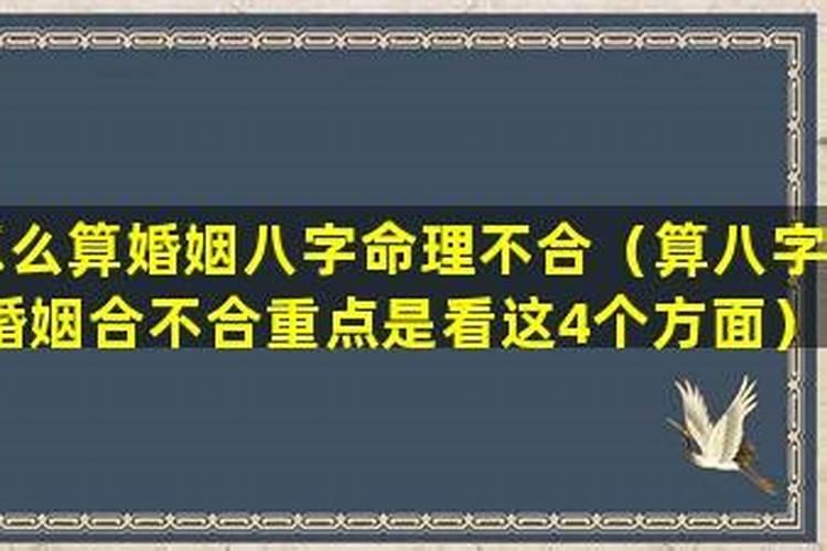 算八字婚姻合不合