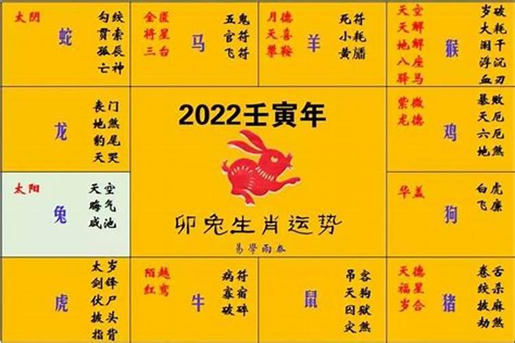 属兔生肖今年的运程