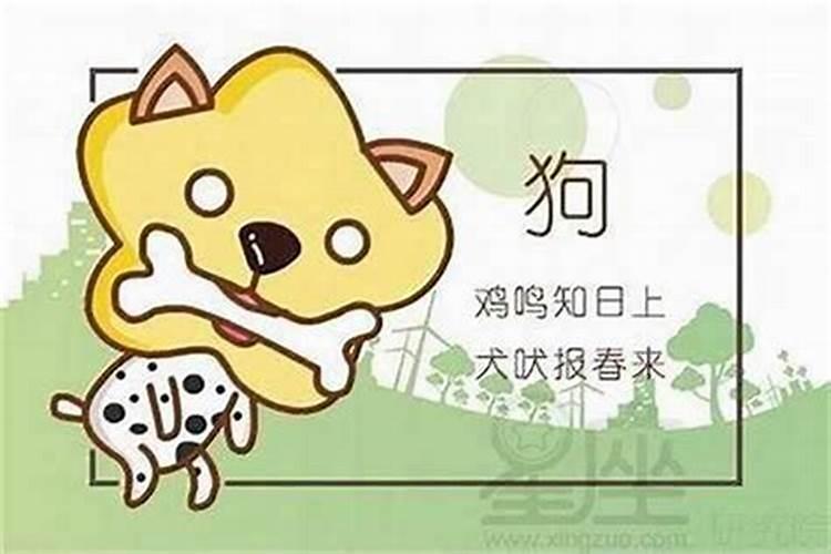 属狗跟属蛇八字合吗？