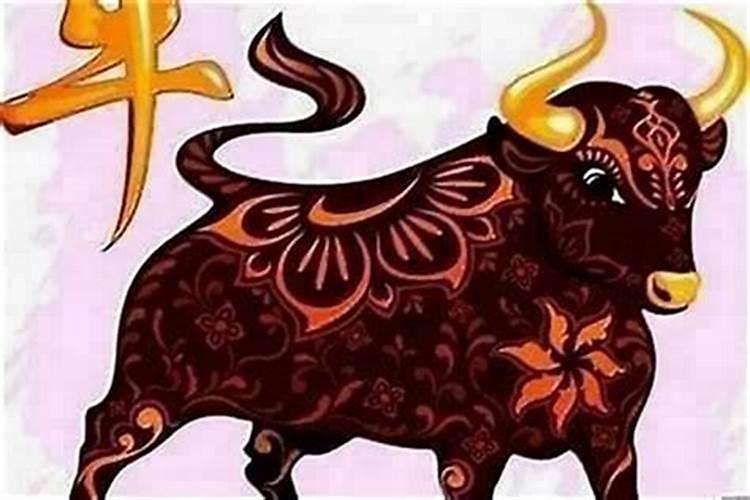 牛年本命年注意些什么？