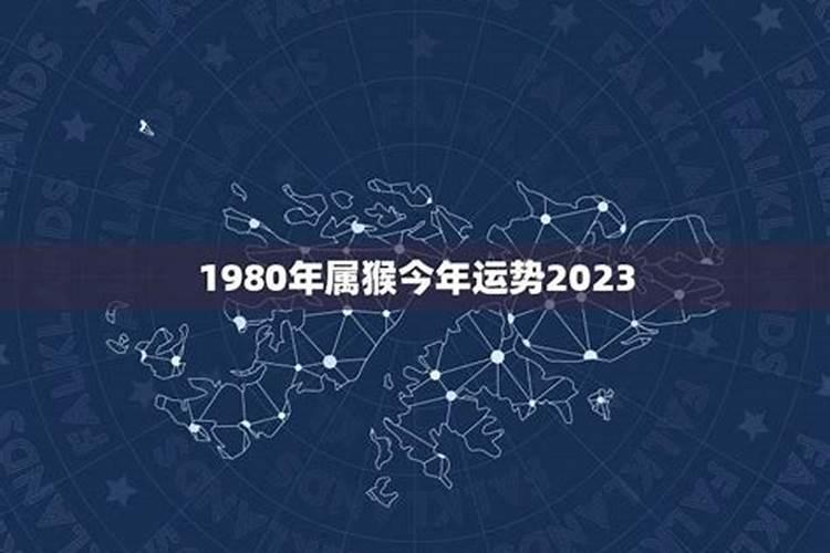 属猴80年出生今年财运运势