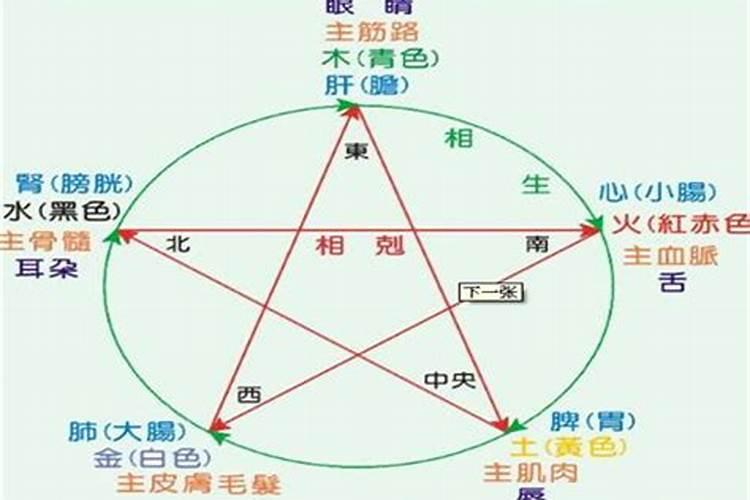 五行婚配准还是属相婚配准？