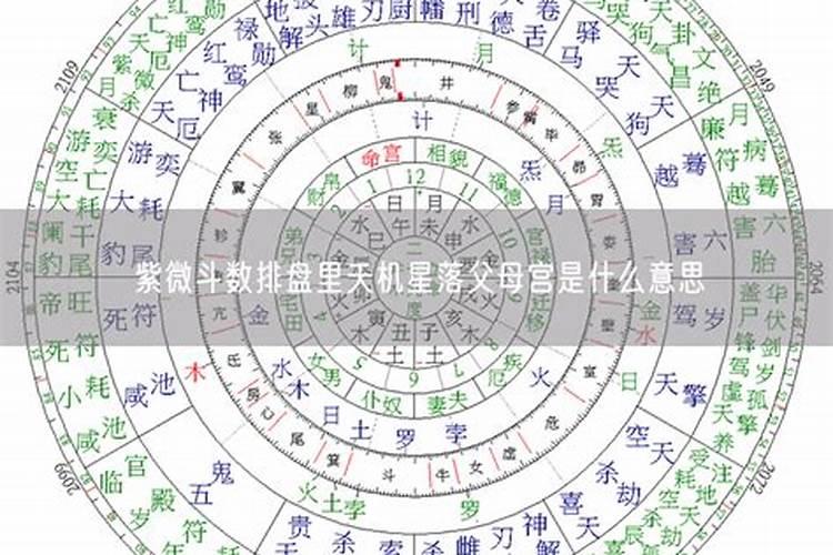 父母宫是什么意思？