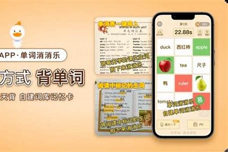 梦东强的过去是什么？