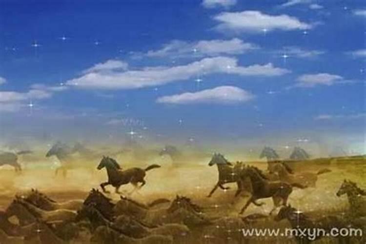 梦见马是什么预兆2026年下雨？