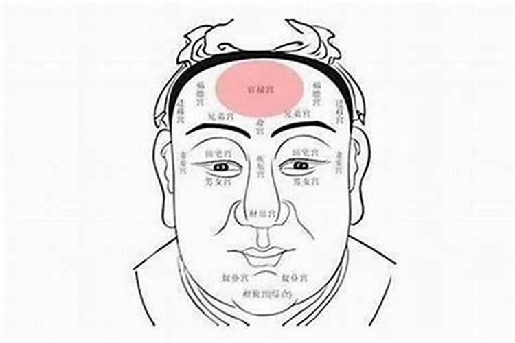 童子命的人头发长得快吗？