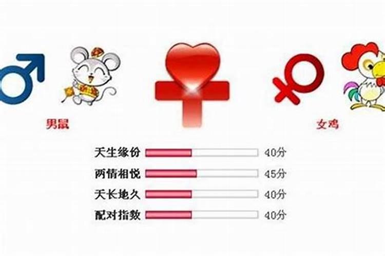 男女都属鸡合婚吗？