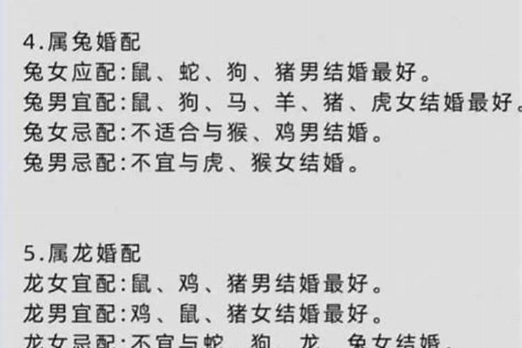 属狗和龙不合婚怎么办？