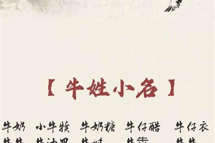 牛年腊月十二出生的男孩