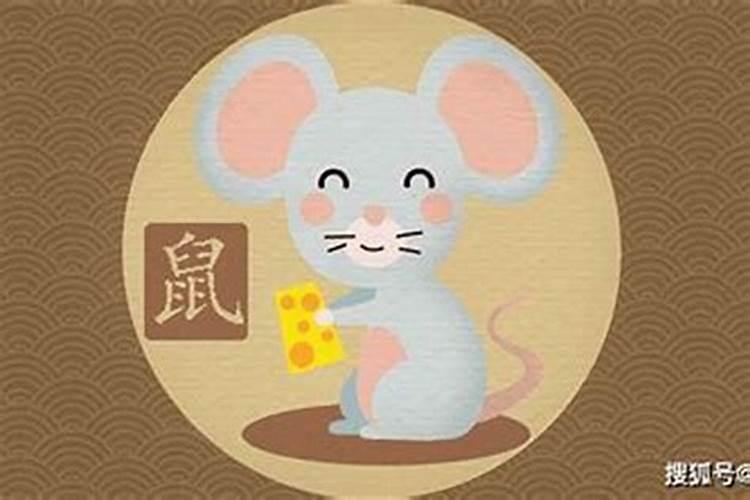 2026属鼠的运程怎么样？