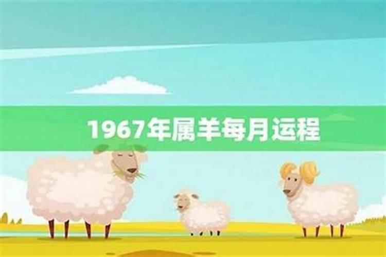 1967年属羊人一生运程
