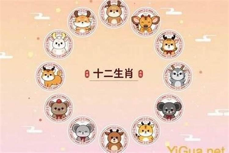 同属相可以婚配吗？