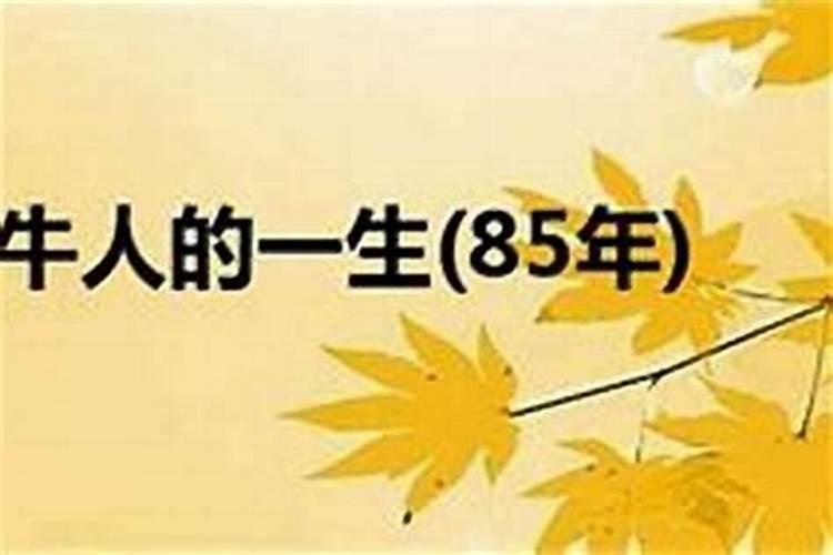 1985年农历六月二十七出生人运程