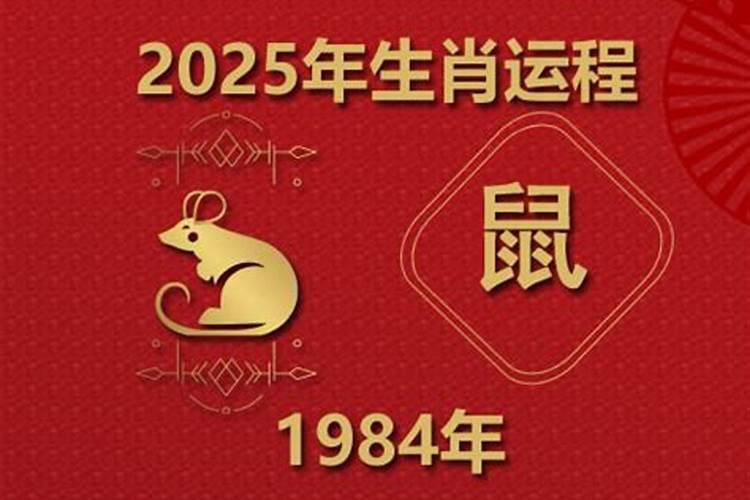 1984鼠在2026年运势