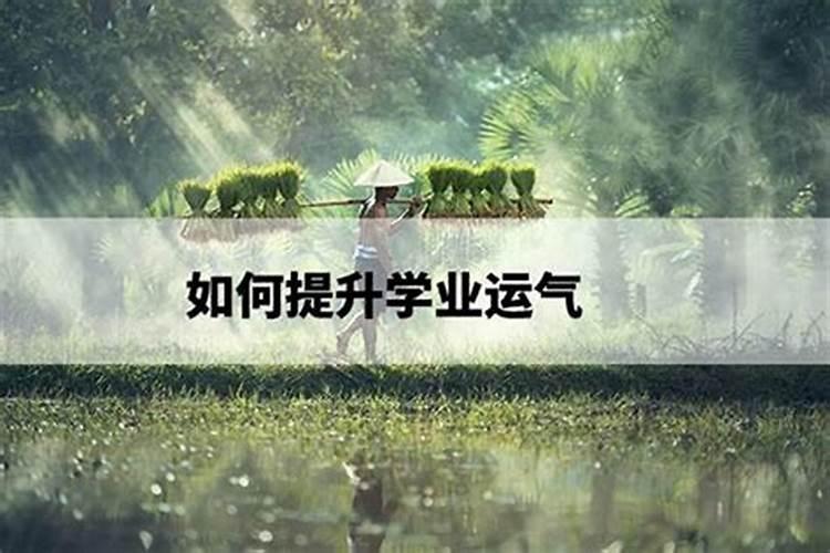 提升学业运势的方法是什么？