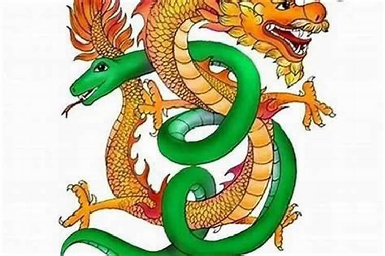 女属龙男属蛇合婚好吗？