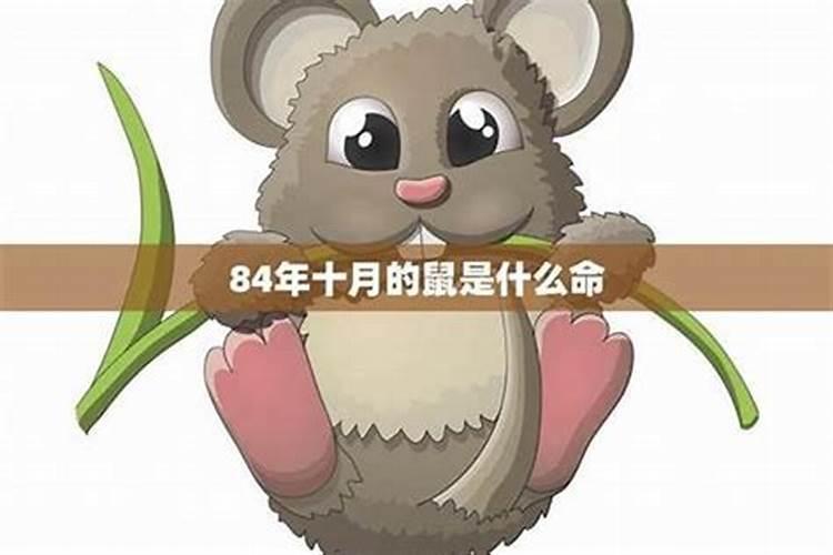 生肖鼠十月初一出生好不好？