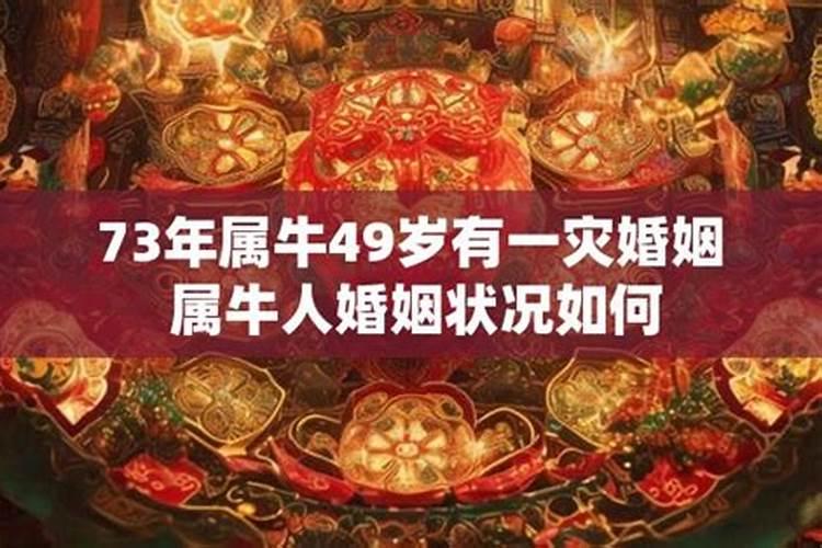 73年属牛49和50岁命运