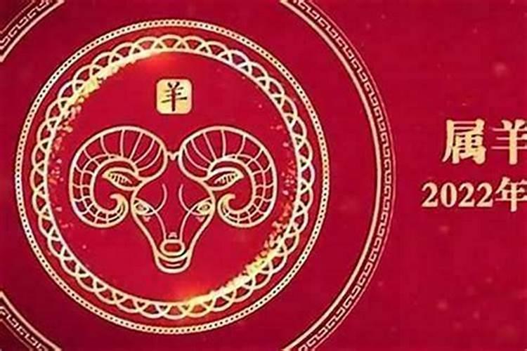 羊的2027年感情运势如何？