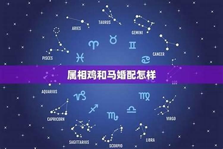 马属相婚配鸡怎么样？