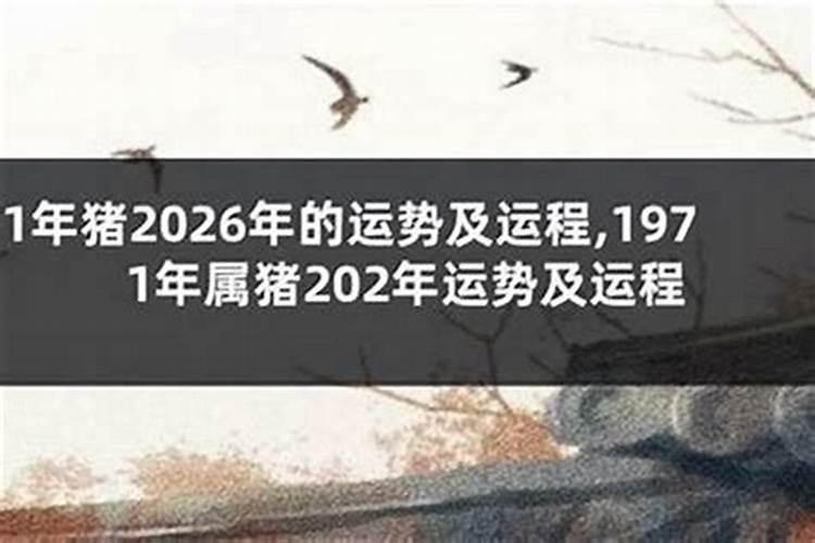 2027年1992年出生的感情运程