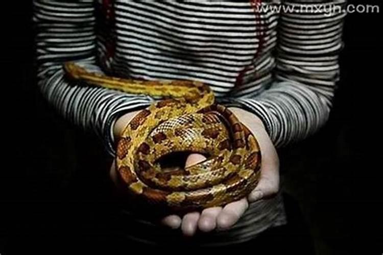 梦见被蛇咬自己的脚是什么意思？