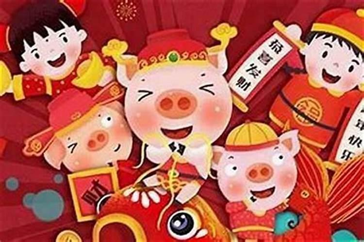 猪犯太岁是什么意思啊？