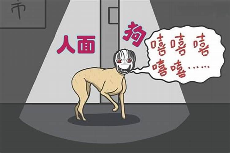 狗跟着人回家什么预兆？