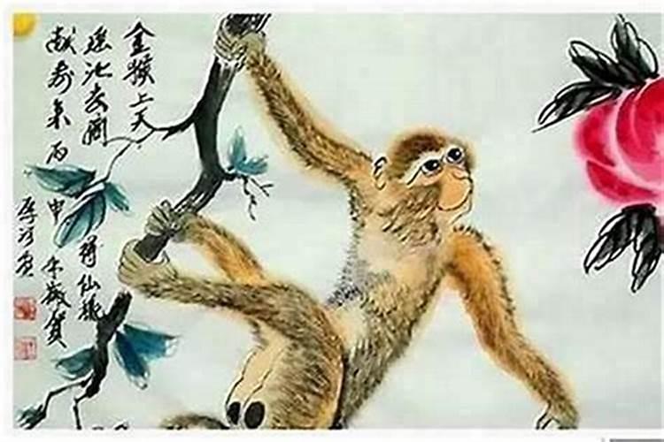 猴与鼠八字合不合适