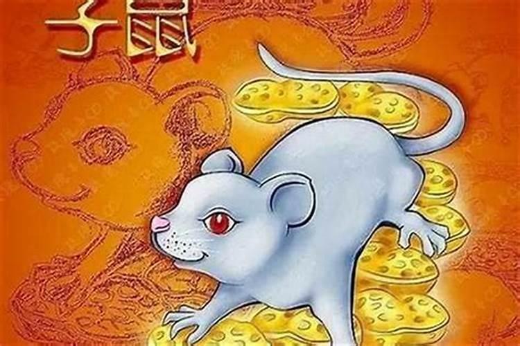 属鼠的今年本命年运气怎么样？