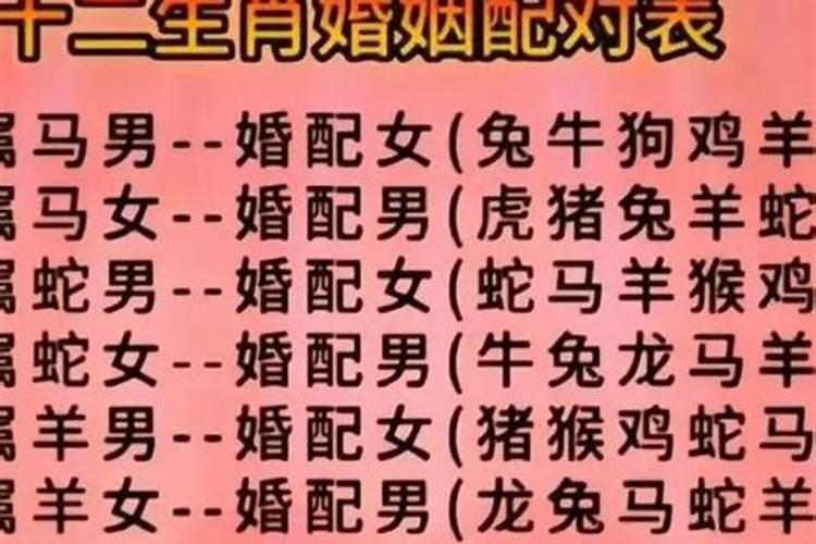 男虎的最佳婚配是什么属相？