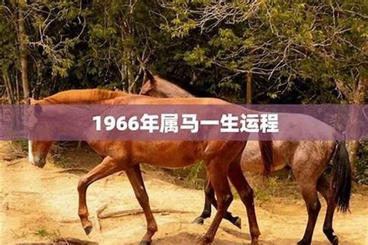 2027年的属马运程1966年生