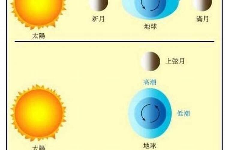 梦见退潮是什么意思？