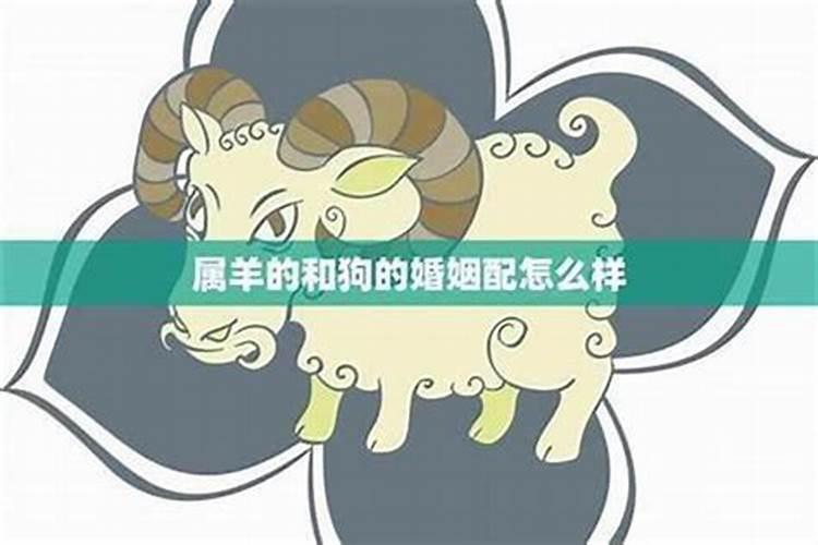 鼠男与羊女属相婚配可以吗？