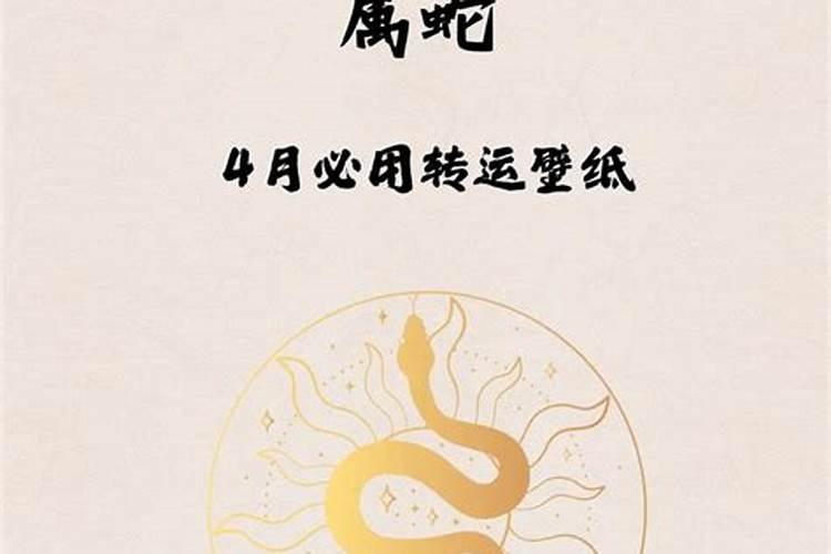 5月属蛇运程如何？