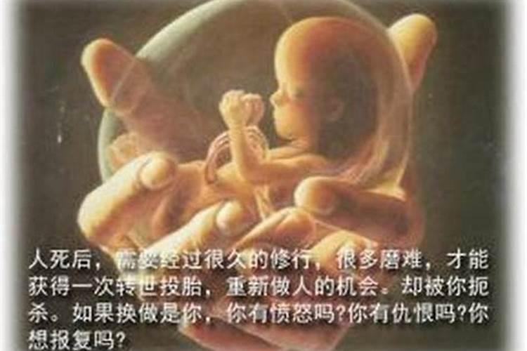 堕胎婴灵供奉