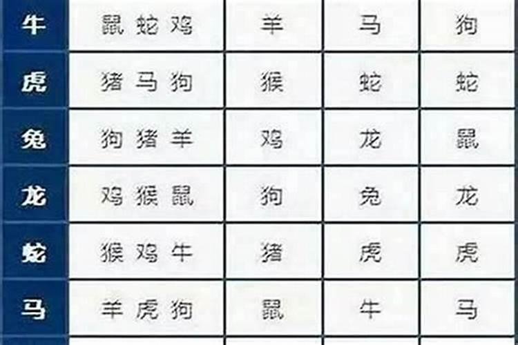 84年的鼠婚配什么属相？