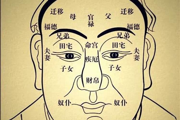 命理大师的八字特征