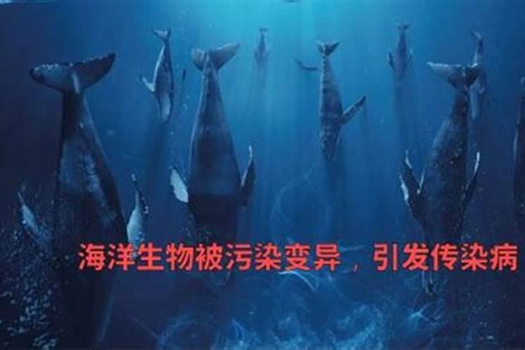 梦到被变异海洋生物追赶