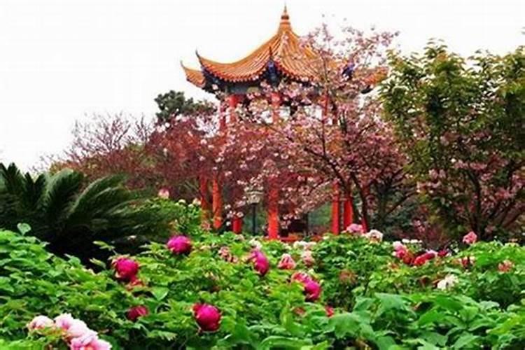 长春清明节去哪里玩？