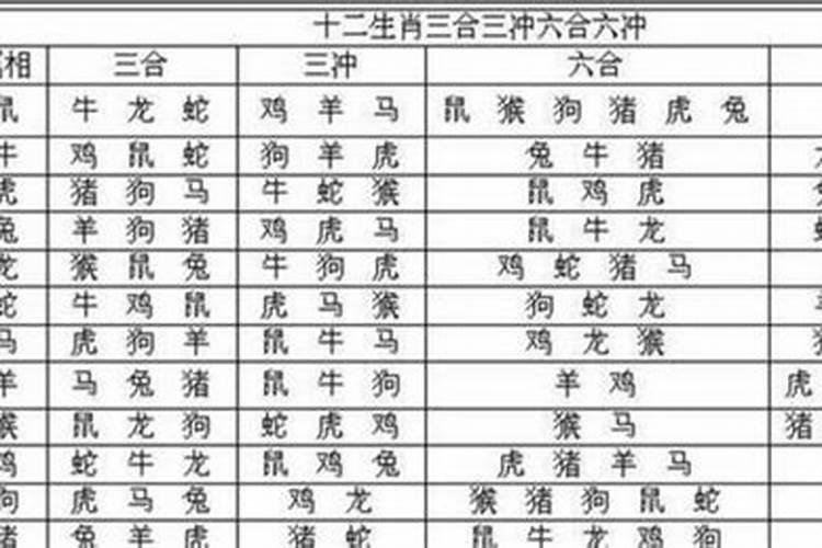 95年猪忌和什么属相婚配？