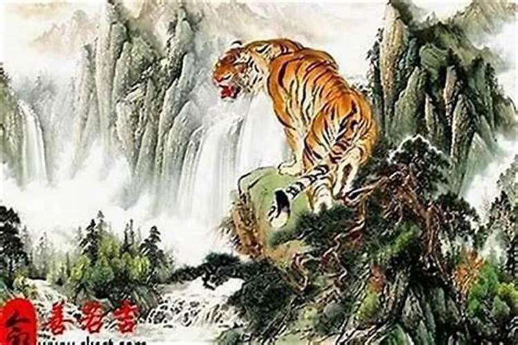 属虎男今年十二月运程