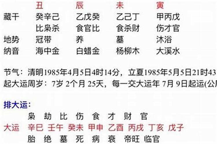 辛巳和乙巳合婚幸福吗？