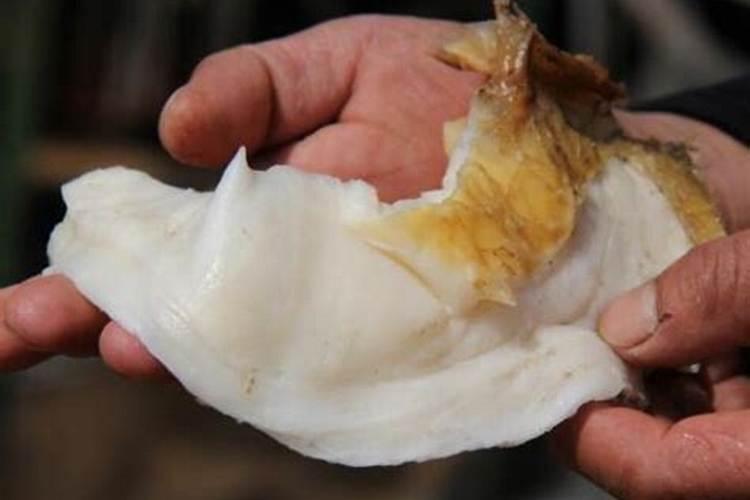 食用太岁有什么后果？