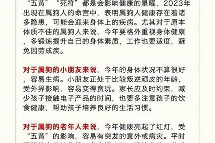 2027年属狗全年的运势如何？