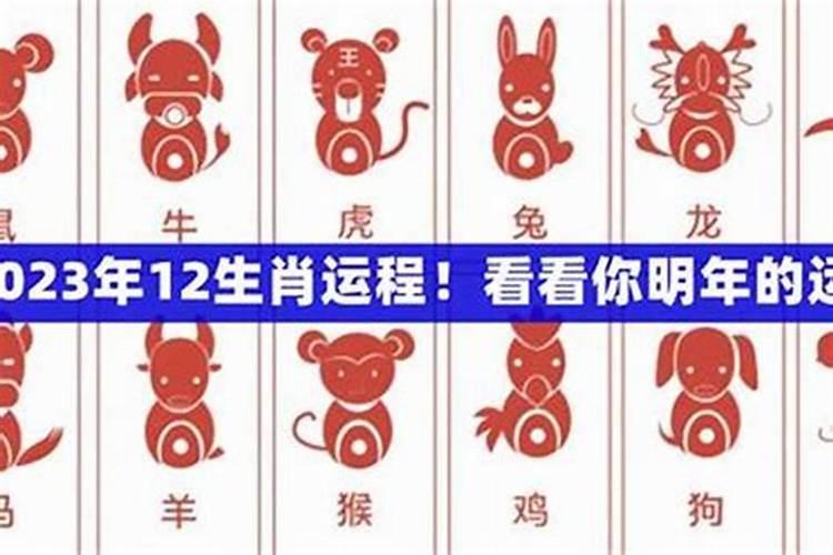 12生肖一生的运势
