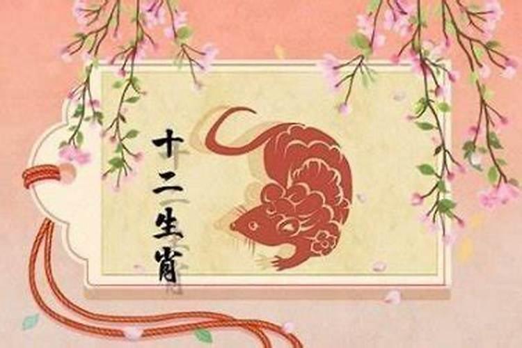 鼠对鸡年运势怎么样？