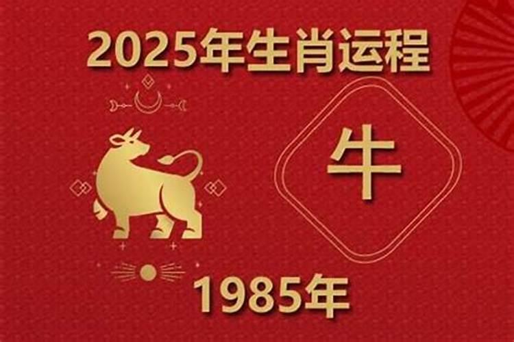 1985属牛女2027年运势如何？